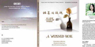 大藏评苏菲首部英汉诗歌原创集《枯萎的玫瑰》:从露珠到溪流,诗思明快向外的自然流露